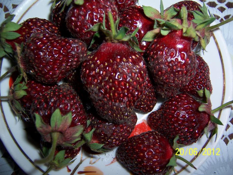 pendentif rubis fraise