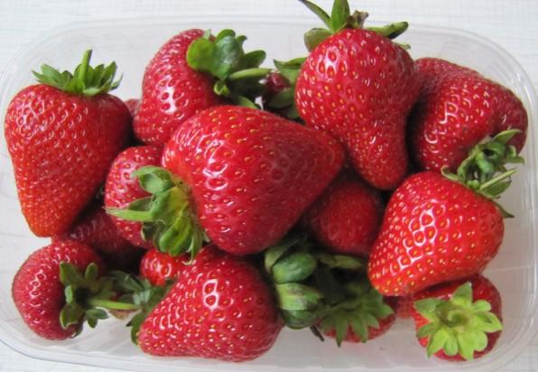 Erdbeer Monterey
