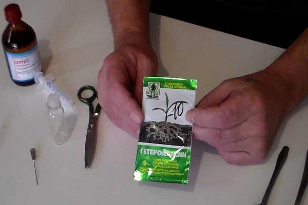 Vorbereitung Vorbereitung