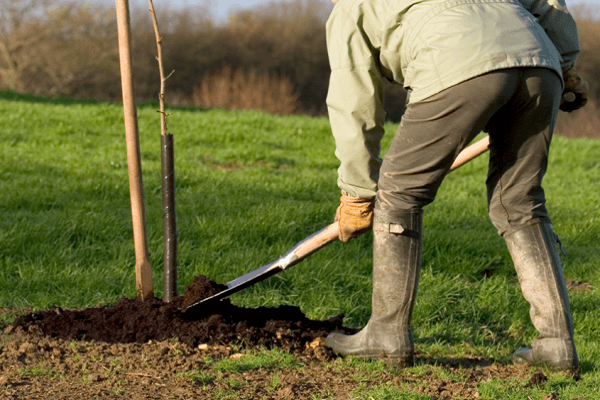 Landung auf dem Territorium