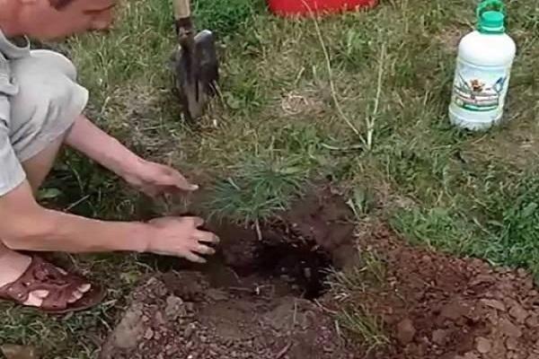 préparation des trous