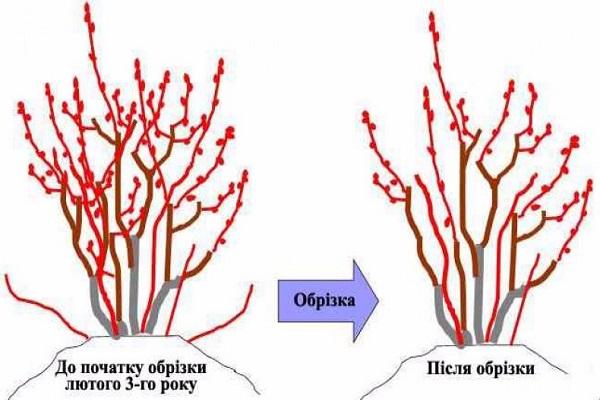 technologie de finition