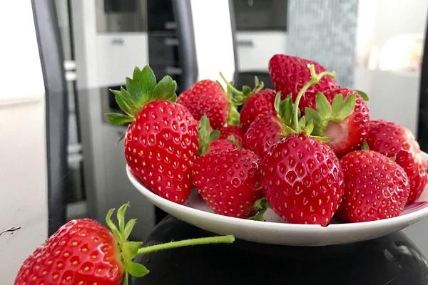 Teller in der Küche