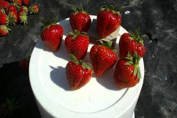 Vergleich von Instanzen