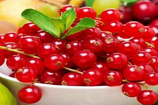 une assiette de baies