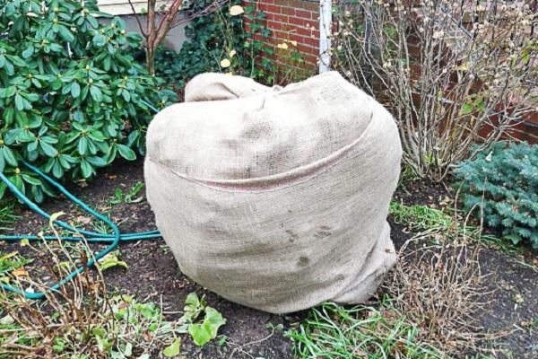 shelter for the winter