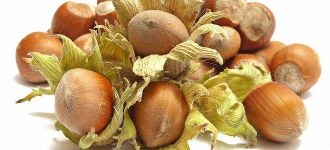 hazel useful properties