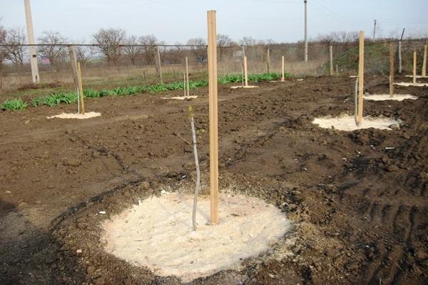 mauvais atterrissage