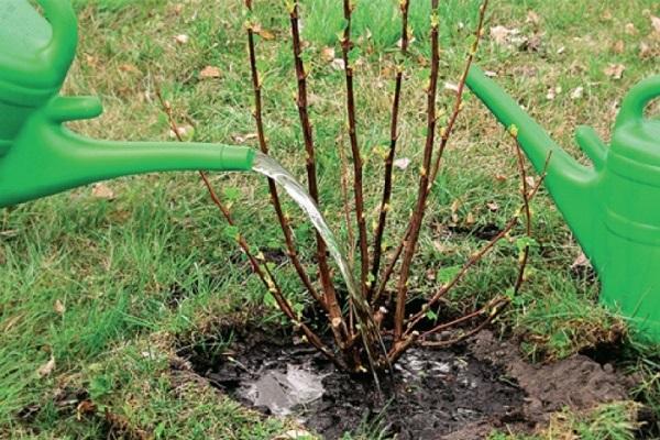 déficit d'humidité