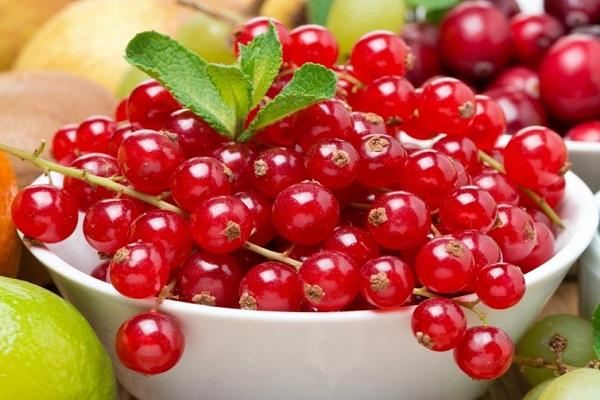 une assiette de fruits