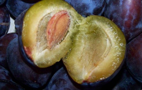 Geteilte Pflaume