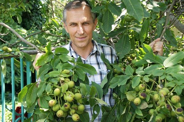 l'homme dans l'arbre
