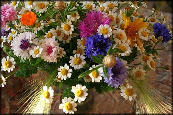 Blumen in einer Vase