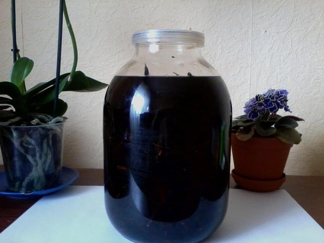 Anwendung auf die Behandlung