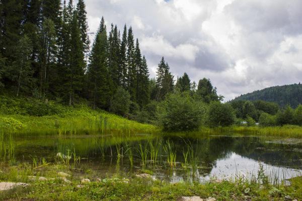 Schönheit und Gesundheit