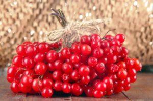 Planting, growing and caring for viburnum in the open field