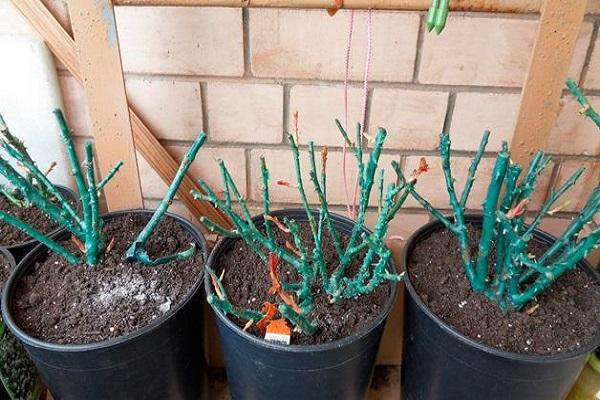 stockage dans le sol