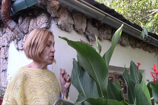 prendre soin de la culture