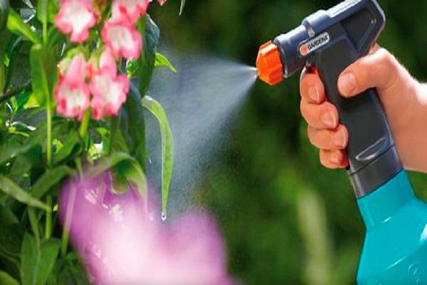 pulvériser une fleur