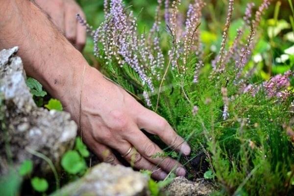 travailler sur le site