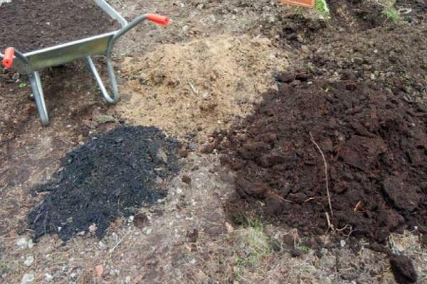 Standortvorbereitung