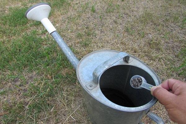 ins Wasser einspeisen