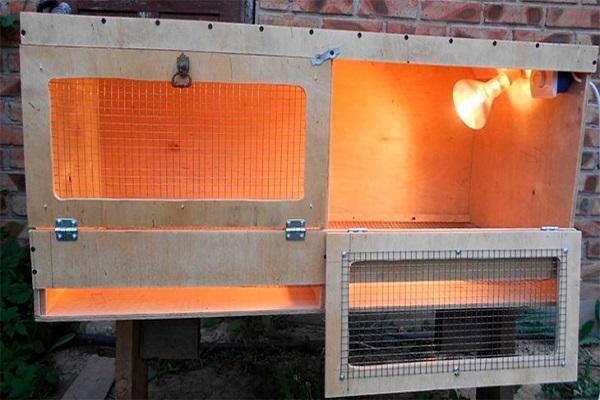 installation d'ampoules