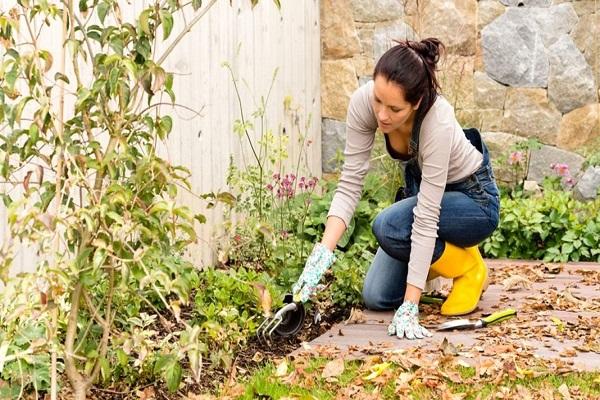Blume für den Winter