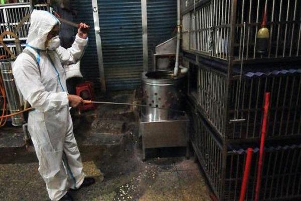 aerosol disinfection