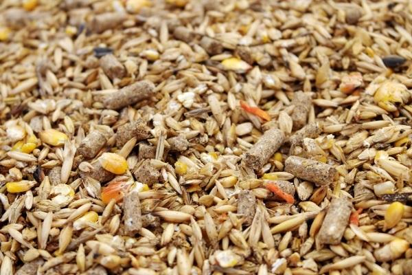 Geflügelfutter