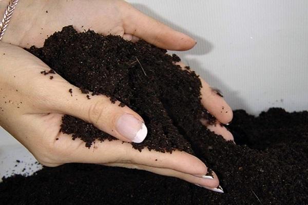 soil preparation