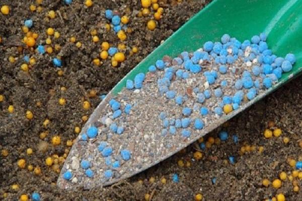 fertilizer in the paddle