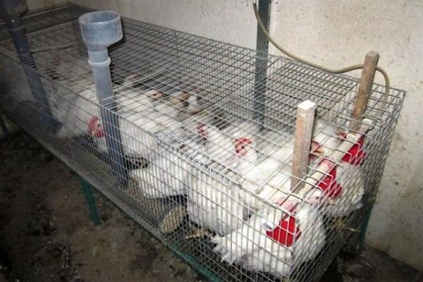 éclairage de la pièce