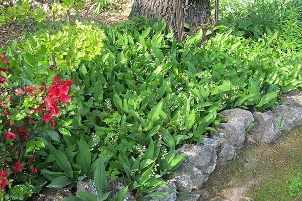 Landschaftsgestaltung