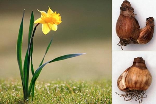 Glühbirnen erhalten