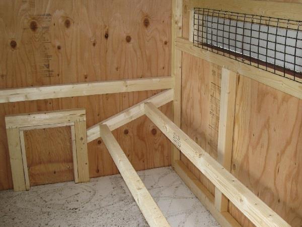 Schlaf im Hühnerstall