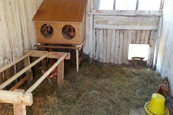 Lage der Sitzstangen