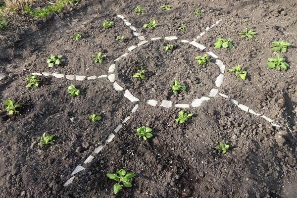 Bewässerung erledigt