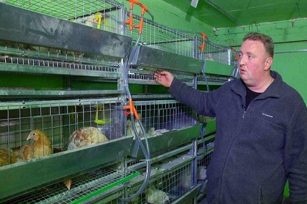 étapes de croissance