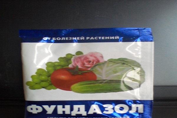 médicament Fundazol