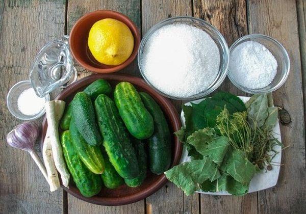 Zutaten für die Konservierung