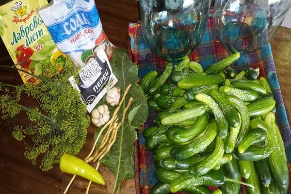 Vorbereitung zum Schließen