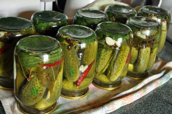 Gurken mit Beerenblättern