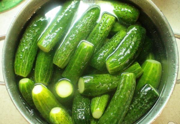 pickling cucumbers