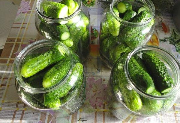 pickling cucumbers