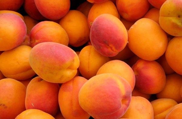 préparation pour la cuisine