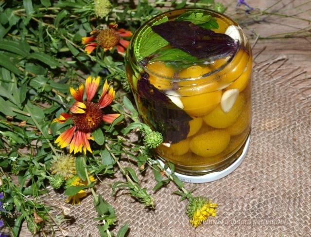 Kirschpflaume für den Winter