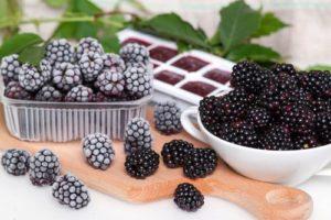 3 besten Rezepte zum Einfrieren von Brombeeren im Kühlschrank für den Winter