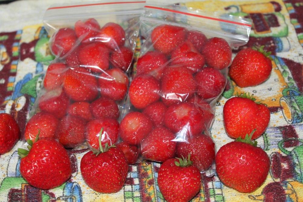 Beeren zum Einfrieren pflücken
