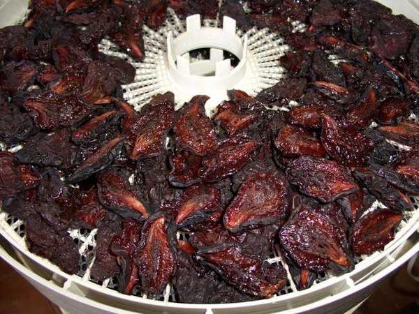 Pflaume in einem elektrischen Trockner